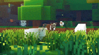 Here Boy