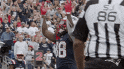 Football Celebration GIF by New England Patriots