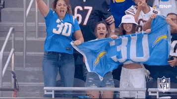 National Football League GIF by NFL