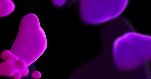 sudheepmeta giphyupload GIF