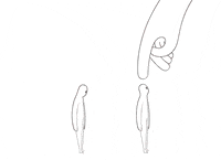 animation amis GIF by Alexander Lansang