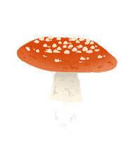 Fall Forest Sticker by molehill