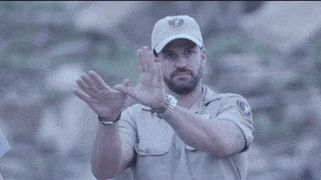 bird flying GIF by 1st Look