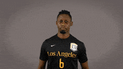 Division Ii Soccer GIF by Cal State LA Golden Eagles