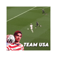 Team Usa Robinson Sticker