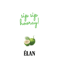 Drinkelan Sticker by ÉLAN