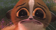 Madagascar Mort GIF