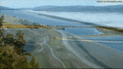 british columbia canada GIF by REALTOR.ca