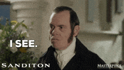 I See Ok GIF by MASTERPIECE | PBS
