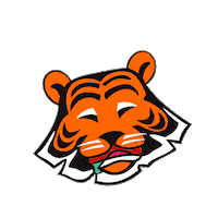 Hambre Tigrito Sticker by Qin Oriental Food