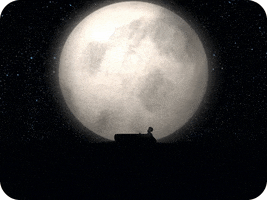 the moon illustration GIF by The Daily Doodles