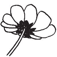 Art Illustration Sticker by PatternBrazil