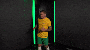 World Cup Sport GIF by Football Australia