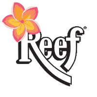 Summer Beach Sticker by Reef Oil