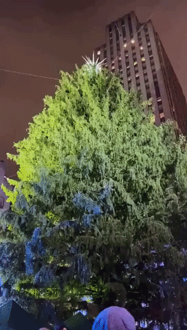 Rockefeller Christmas Tree Lights Up as Holiday Season Begins in New York
