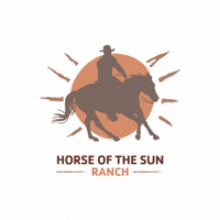 ASYSanDiego san diego fallfestival asymca pine valley GIF