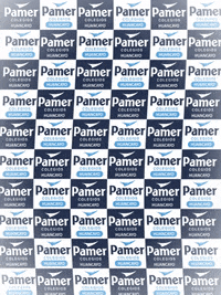 PamerHuancayo logo top colegio educacion GIF