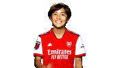 Champions League Football Sticker by Arsenal