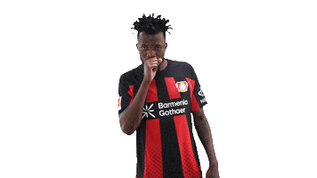 Bayer 04 Football Sticker by Bundesliga