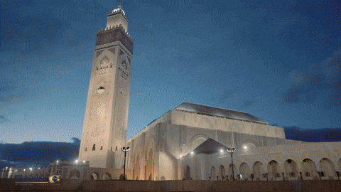 gisasantanna giphyupload GIF