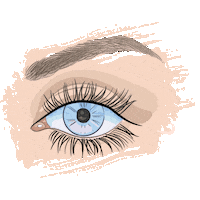 lashharmony makeup lashes eyelashes lh Sticker