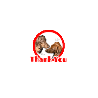 Thanks Sticker by Pimp Yo Pets