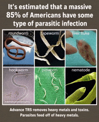 Guthealth Parasites GIF by Detox · Wellness