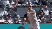 sport spain GIF by Tennis TV