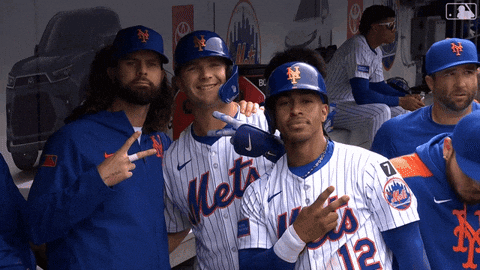 Pete Alonso Celebration GIF by New York Mets