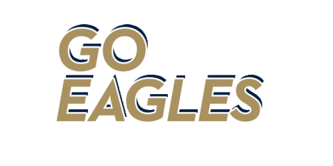 georgia southern football Sticker by Georgia Southern University - Auxiliary Services