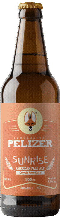 Beer Brazil Sticker by Cervejaria Pelizer