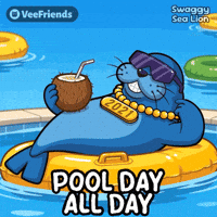 All Day Swimming GIF by VeeFriends