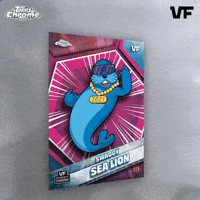 Collect Sea Lion GIF by VeeFriends
