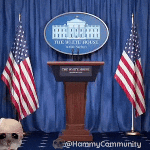 White House Trump GIF by Sad Hamster