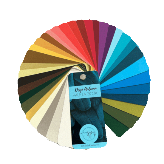 Color Palette Coloranalysis Sticker by Sanja Pandurov