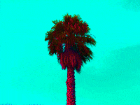 GIF by haydiroket (Mert Keskin)