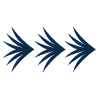 Palmetto Sticker by Eric&Todd