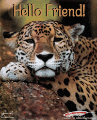 jaguar GIF