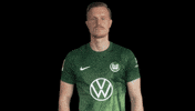 Germany No GIF by VfL Wolfsburg