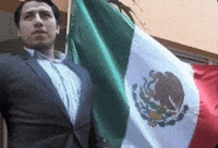 World-Cup Mexico GIF