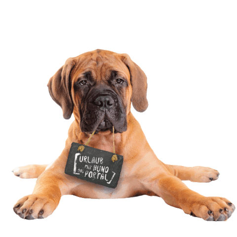 Tierischer_Urlaub giphyupload hund gassi hundeurlaub Sticker