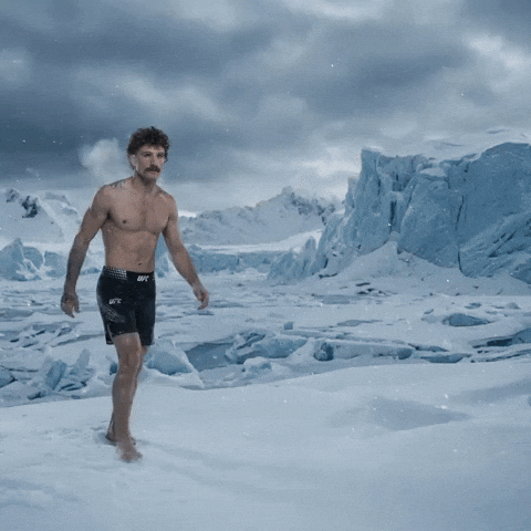 Quillan GIF