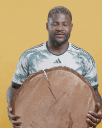 Mls Portland GIF by Timbers