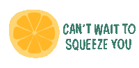 Orange Citrus Sticker by blurtitout