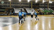 Czech Republic Handball GIF by HCB Karviná