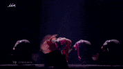 eurovision GIF by vrt