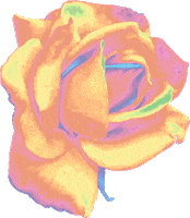 Pixel Rainbow Sticker by Mr. Cody England