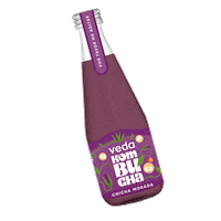 vedakombucha kombuchadrink vedakombucha kombuchachichamorada vedakombuchachichamorada Sticker