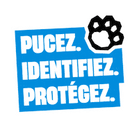 Cat Dog Sticker by Fichier National I-CAD