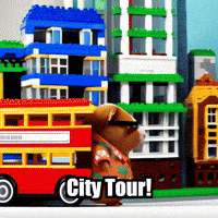 Guinea Pig City GIF by Guinea Gambino
